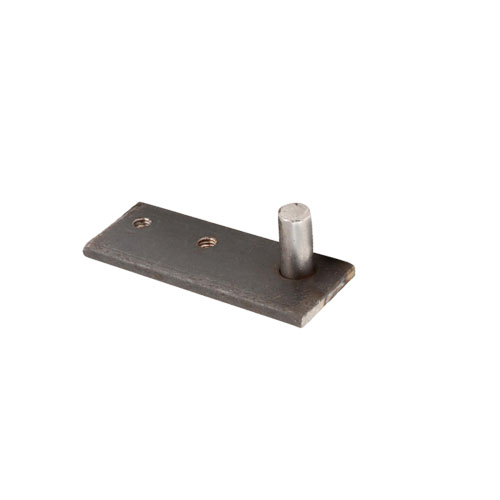 Door Hinge Asm Rt