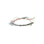 Harness,Cntl Wiring,115V/Sc/G